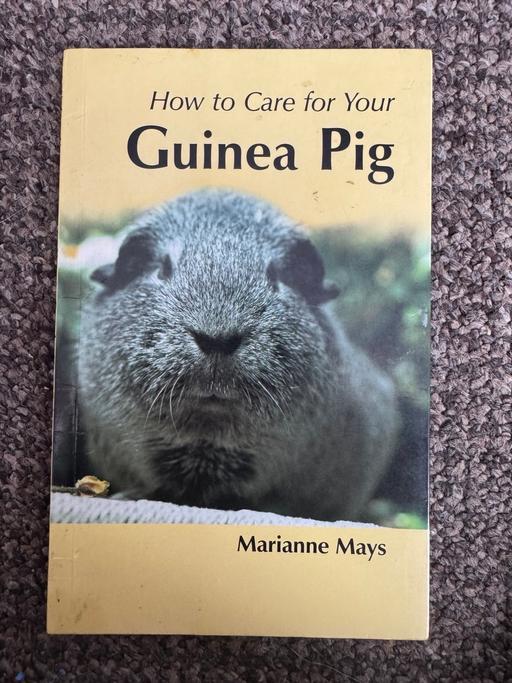 Buy & Sell Lancashire Blackpool - Photos for How to care for your guinea pig book