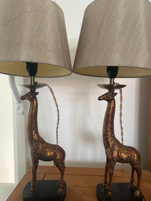 Buy & Sell Worcestershire Wyre Forest - Photos for 2 x Giraffe lamps Good condition