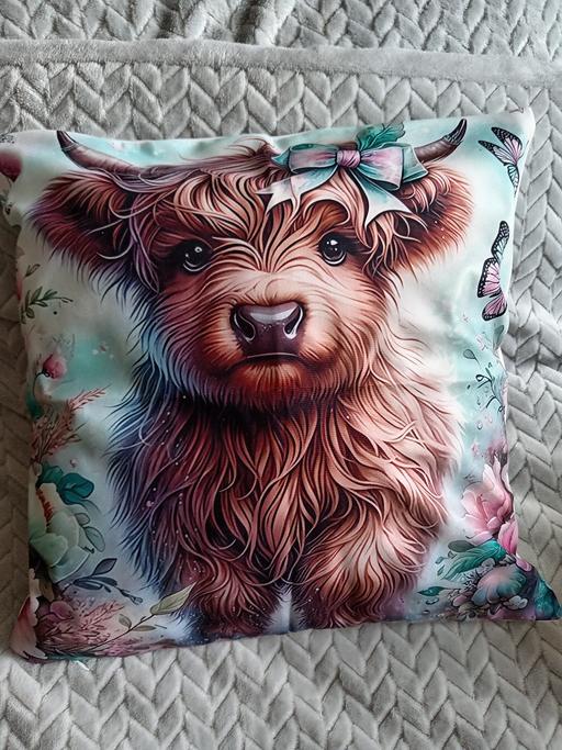 Buy & Sell South Yorkshire Rotherham - Photos for cushion