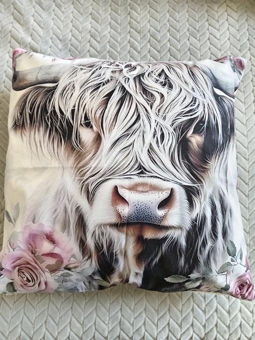 Buy & Sell South Yorkshire Rotherham - Photos for set of 2 cushions