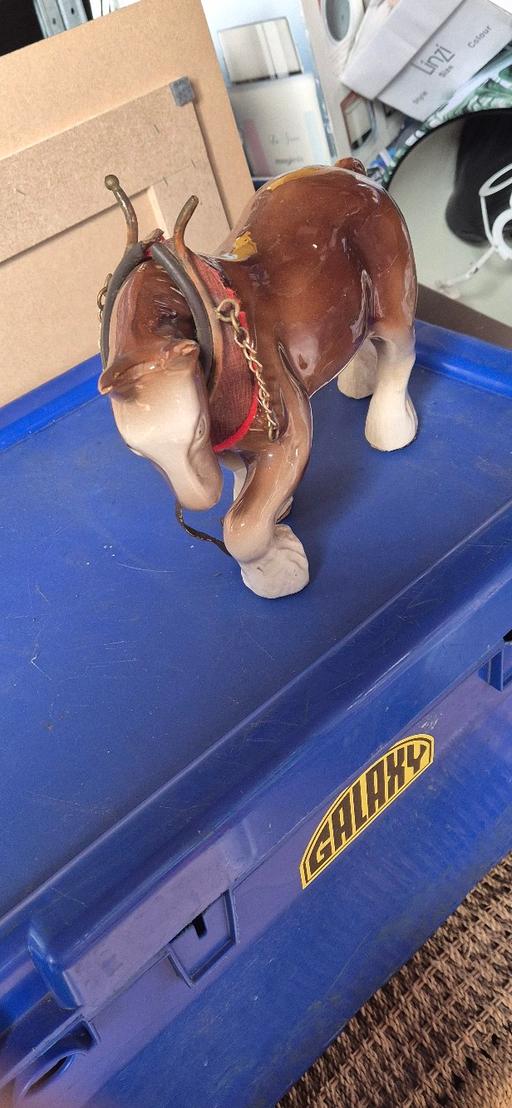 Buy & Sell Essex Basildon - Photos for shire horse