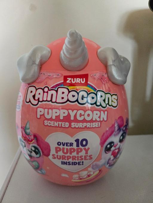 Buy & Sell Kingstanding Birmingham - Photos for puppycorn
