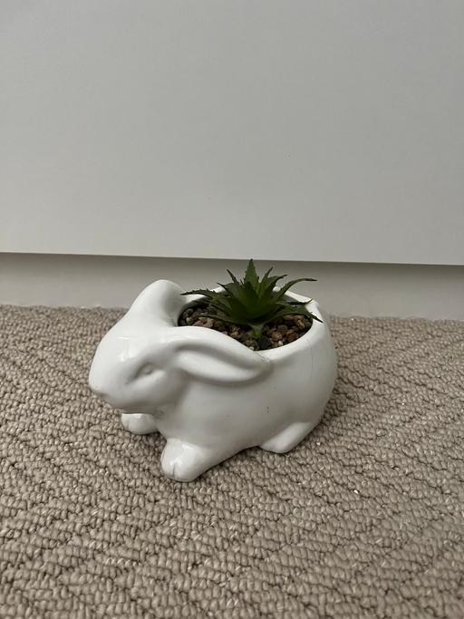 Buy & Sell Greater Manchester Bury - Photos for Rabbit artificial plant ornament
