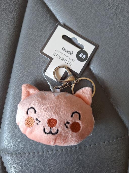 Buy & Sell West Midlands Wolverhampton - Photos for New Cat Keyring