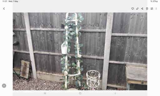 Buy & Sell West Midlands Birmingham - Photos for tall garden feature & frog ornament