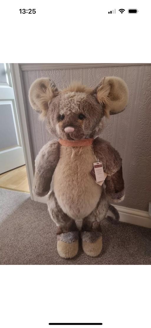 Buy & Sell South Yorkshire Doncaster - Photos for Mr Meekings - Charlie Bear