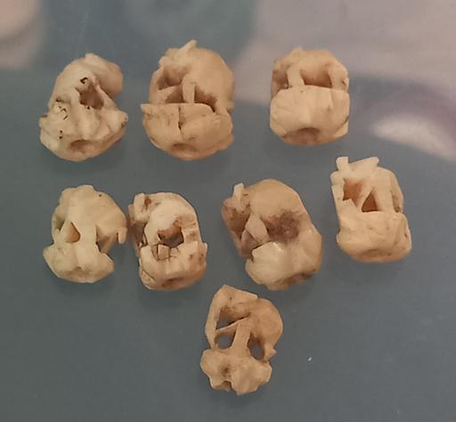 Buy & Sell Merseyside Saint Helens - Photos for antique minature carved bone elephants