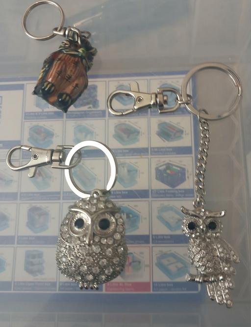 Buy & Sell Merseyside Saint Helens - Photos for Owl keyrings