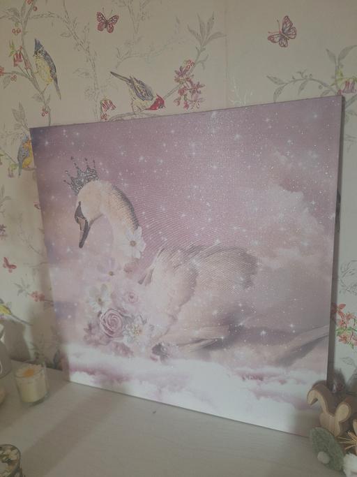 Buy & Sell West Midlands Dudley - Photos for swan picture