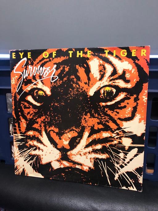 Buy & Sell Lancashire South Ribble - Photos for Survivor - Eye of the Tiger - Vinyl Record LP