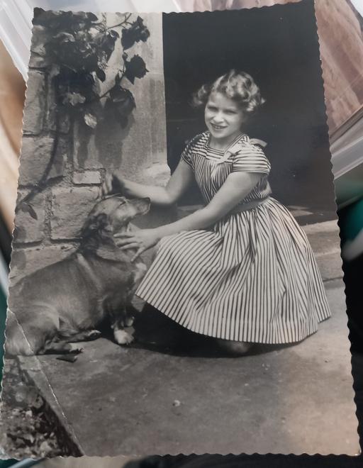 Buy & Sell Merseyside Saint Helens - Photos for Valentines princess anne photo postcard