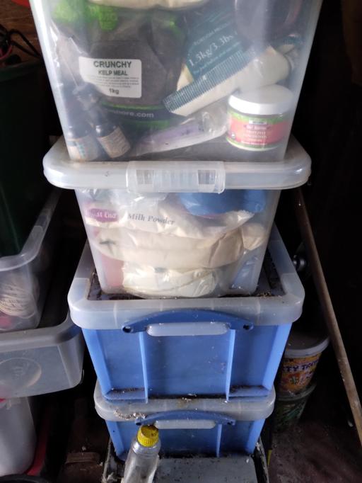 Buy & Sell West Midlands Dudley - Photos for Carp boilie making .