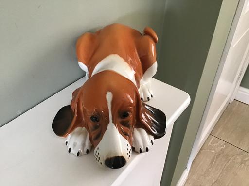 Buy & Sell West Midlands Sandwell - Photos for Dog