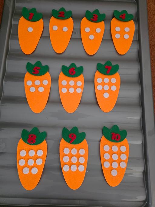 Buy & Sell Lancashire Blackpool - Photos for Felt carrot counting NEW