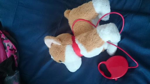 Buy & Sell West Midlands Birmingham - Photos for toy dog