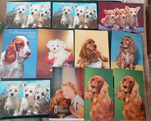 Buy & Sell Merseyside Saint Helens - Photos for 14 dog photographs postcards