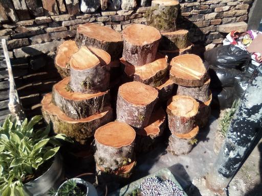 Buy & Sell West Yorkshire Bradford - Photos for logs