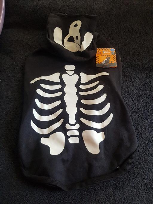 courses South Yorkshire Sheffield - Photos for dogs Halloween hoodie new