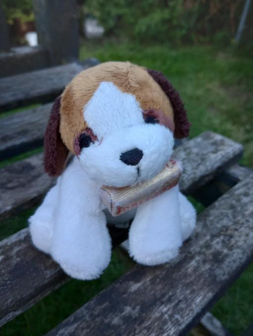 Buy & Sell Worcestershire Bromsgrove - Photos for Cute Toblerone Dog Soft Toy