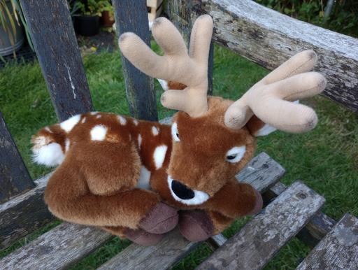 Buy & Sell Worcestershire Bromsgrove - Photos for Deer Soft Toy