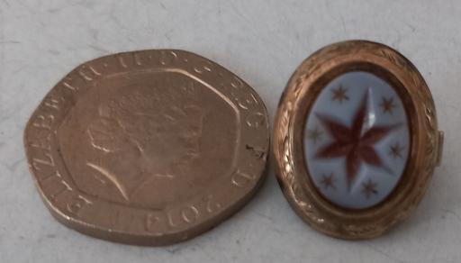 Buy & Sell Thatto Heath Saint Helens - Photos for Victorian Gold Fronted Bachelor Button