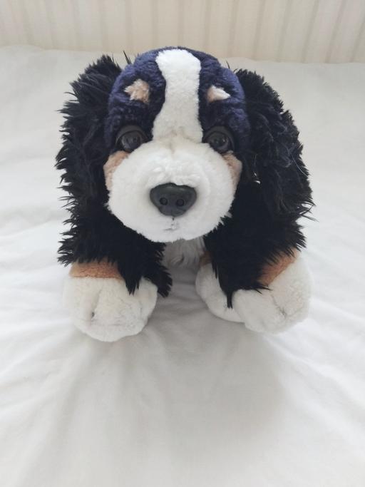 Buy & Sell Worcestershire Bromsgrove - Photos for Soft Dog Toy