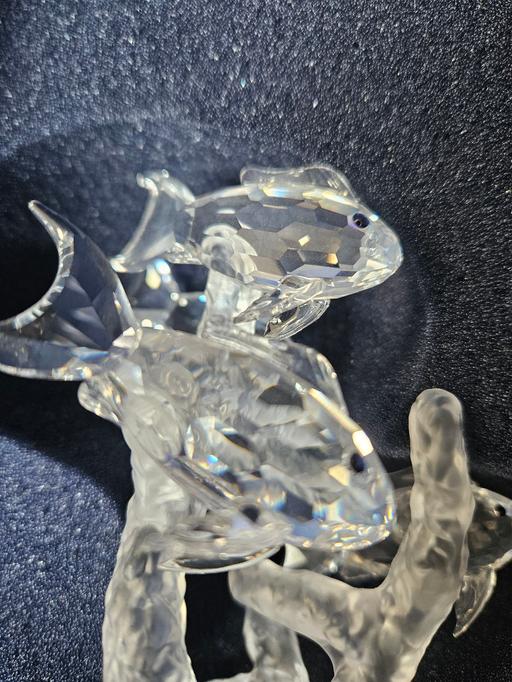 Buy & Sell West Midlands Solihull - Photos for swarovski school of fish