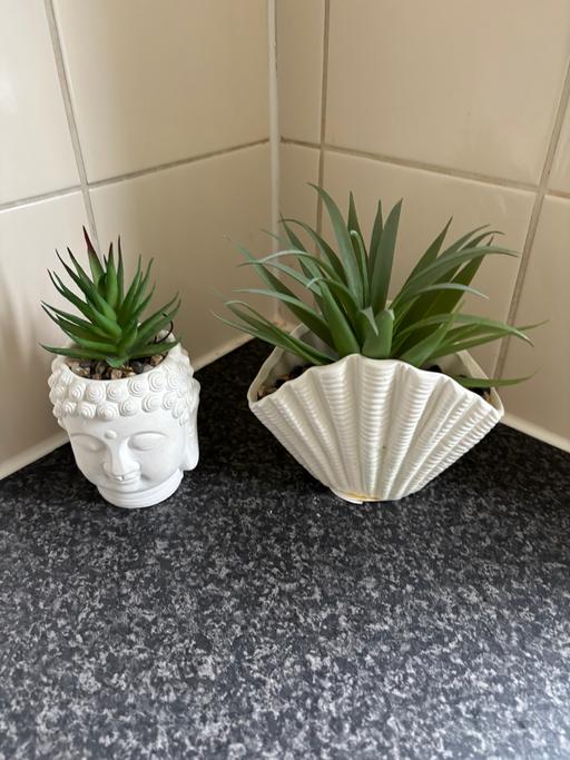 Buy & Sell Greater Manchester Manchester - Photos for Artificial plants