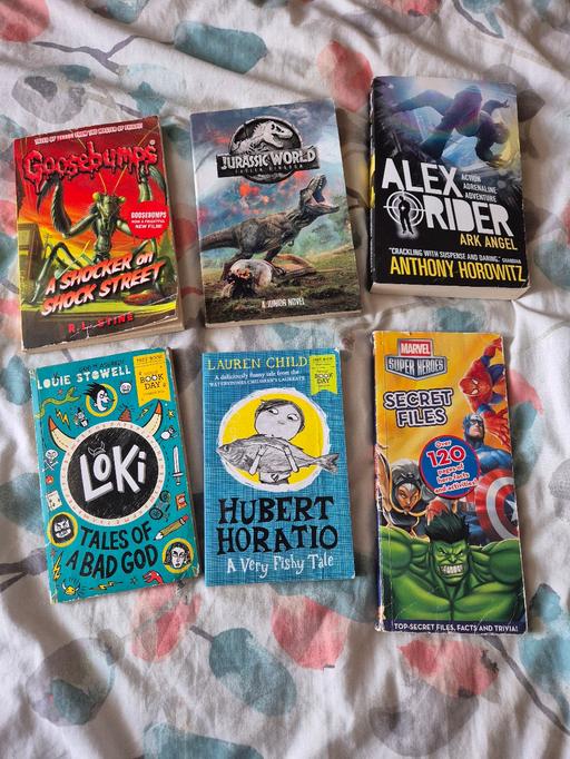 Buy & Sell Barking and Dagenham Dagenham - RM9 - Photos for Childrens Book Bundle