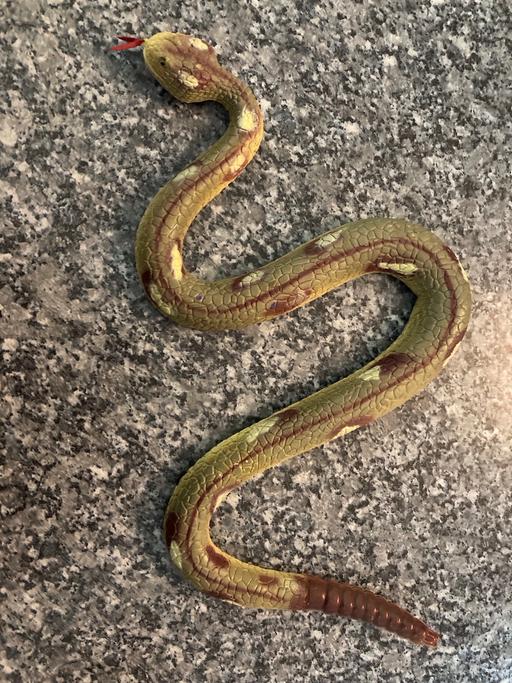 Buy & Sell Buckinghamshire Milton Keynes - Photos for Rubber Rattle Snake with Rattle Tail Ref 1B