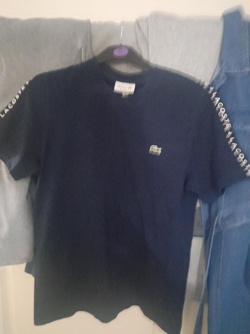 Buy & Sell South Yorkshire Doncaster - Photos for LACOSTE tshirt mans medium