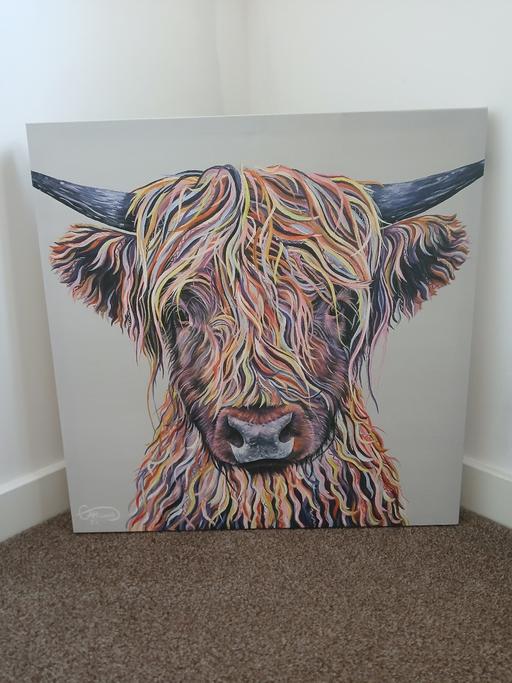 Buy & Sell Lincolnshire South Kesteven - Photos for Next Highland cow picture