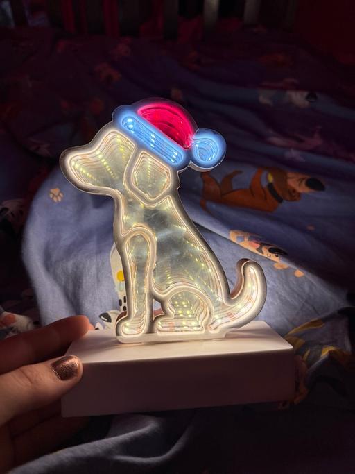 Buy & Sell Merseyside Liverpool - Photos for Dog Christmas Light