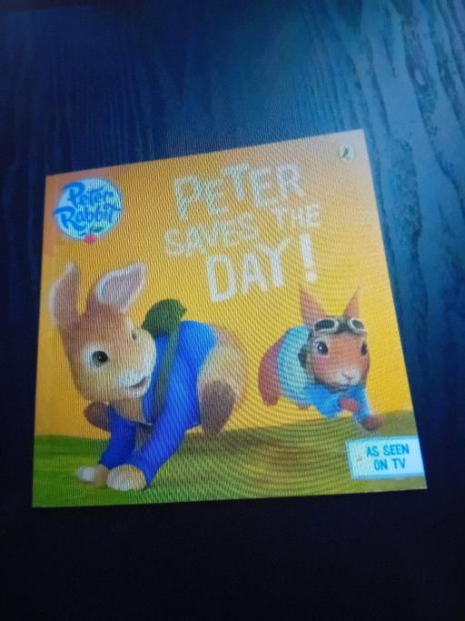 Buy & Sell West Midlands Sandwell - Photos for Kids Peter Rabbit Saves The Day Book