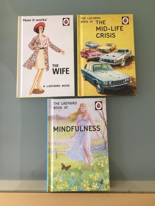 Buy & Sell West Midlands Wolverhampton - Photos for LADYBIRD BOOKS