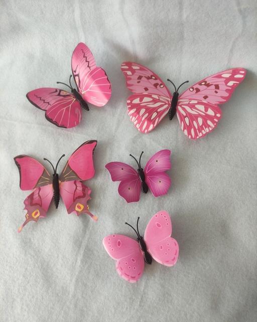 Buy & Sell Grafton Street Industrial Estate West Northamptonshire - Photos for 5 beautiful magnet butterfly