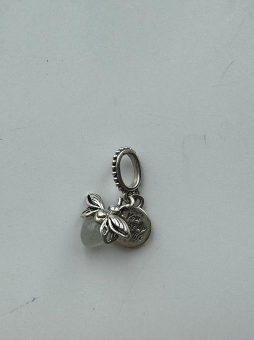 Buy & Sell East Sussex Wealden - Photos for pandora fire fly charm used twice