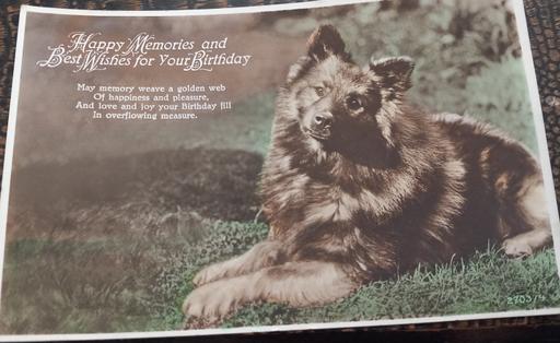Buy & Sell Merseyside Saint Helens - Photos for Antique 1920s photo dog birthday postcard