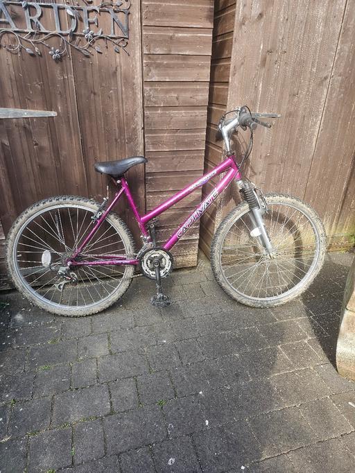 Buy & Sell West Midlands Dudley - Photos for CASCADE CAPTIVATE LADIES MOUNTAIN BILE 26