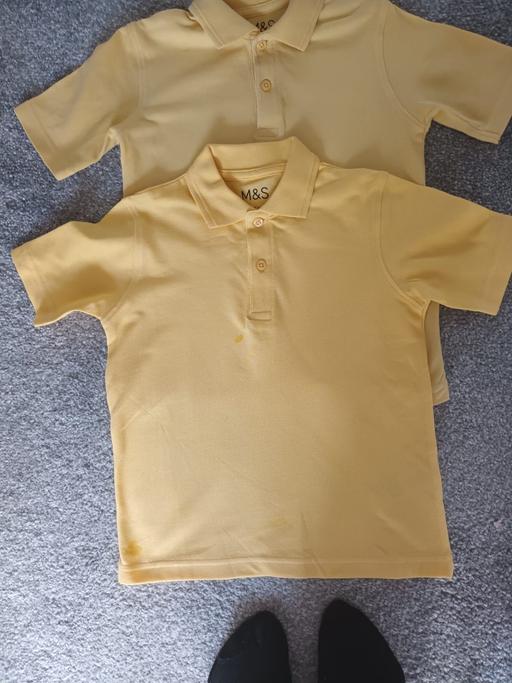 Buy & Sell Hamstead Industrial Estate Birmingham - Photos for 2 POLO SHIRTS