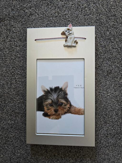 Buy & Sell West Midlands Sandwell - Photos for Beautiful dog photo frame