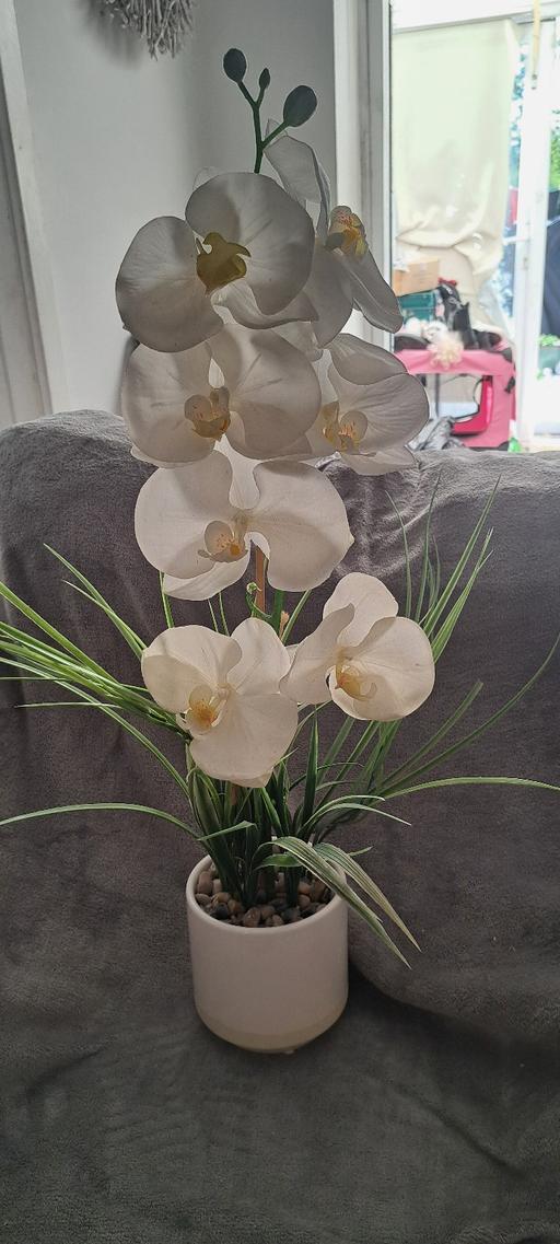 Buy & Sell West Midlands Birmingham - Photos for Orchid decor in pot