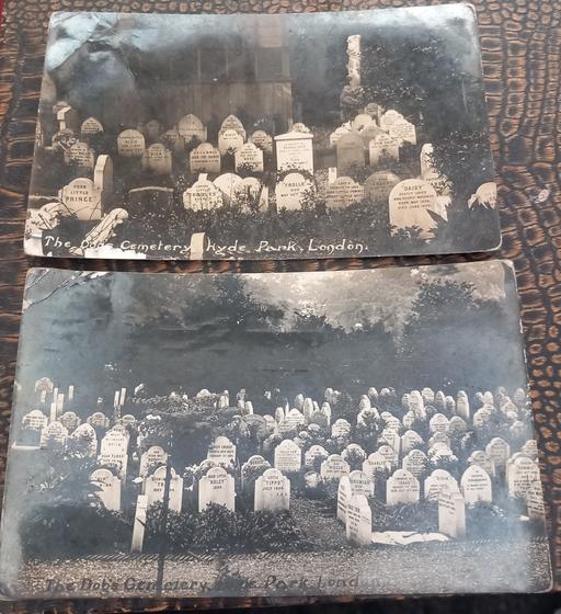 Buy & Sell Merseyside Saint Helens - Photos for antique 1915 dogs cemetery photo postcards