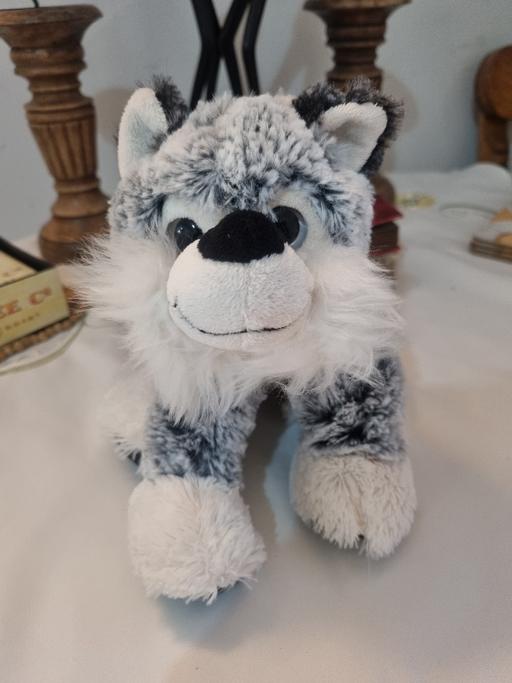 Buy & Sell West Midlands Birmingham - Photos for Creature Comforts Medium Plush