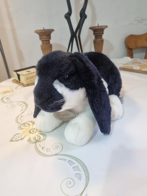 Buy & Sell West Midlands Birmingham - Photos for Russ Yomiko Classics Lop Ear Bunny