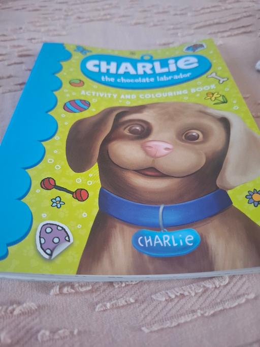 Buy & Sell South Yorkshire Barnsley - Photos for girls brand new activity and colouring book
