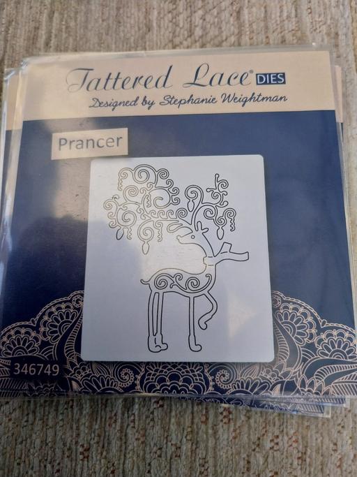 Classes Wiltshire Swindon - Photos for New Tattered Lace Prancer Craft Die