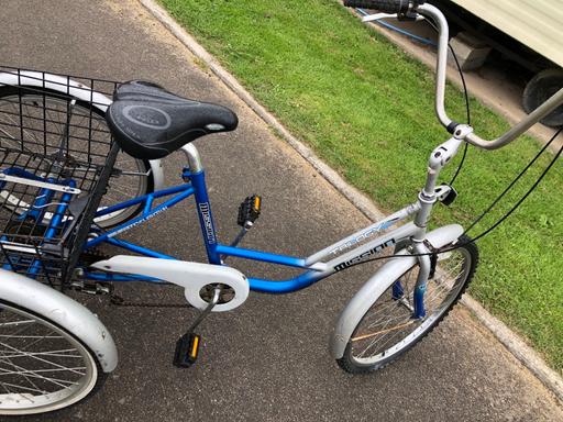 Buy & Sell Somerset Burnham-on-Sea - Somerset - Photos for Adult Three Wheel Trike