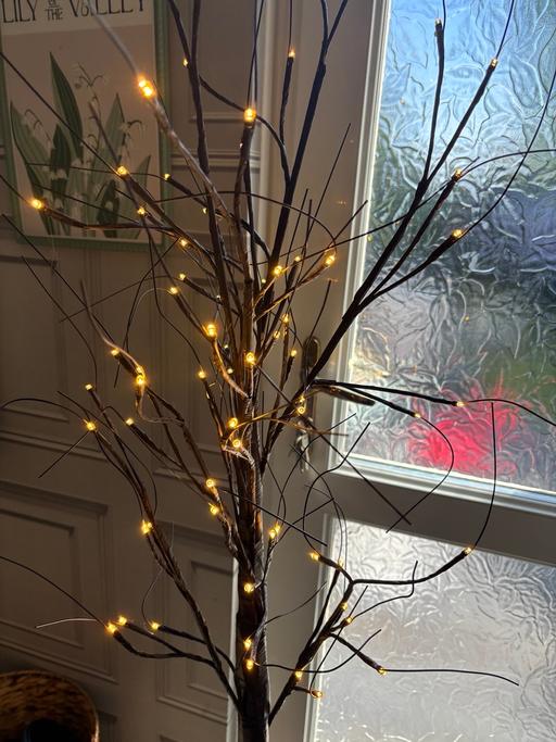 Buy & Sell West Midlands Birmingham - Photos for Homesense large tree