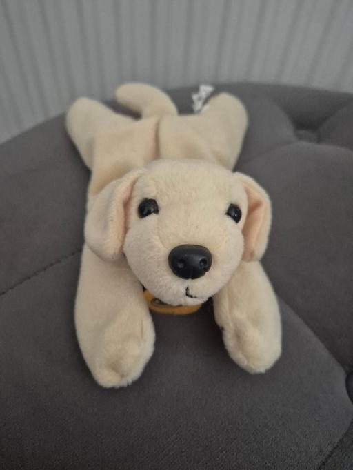 Buy & Sell West Yorkshire Leeds - Photos for Andrex Puppy Teddy